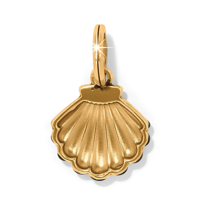 Brighton seashell charm in gold-plated finish with ridged scallop detail and jump ring on a white background