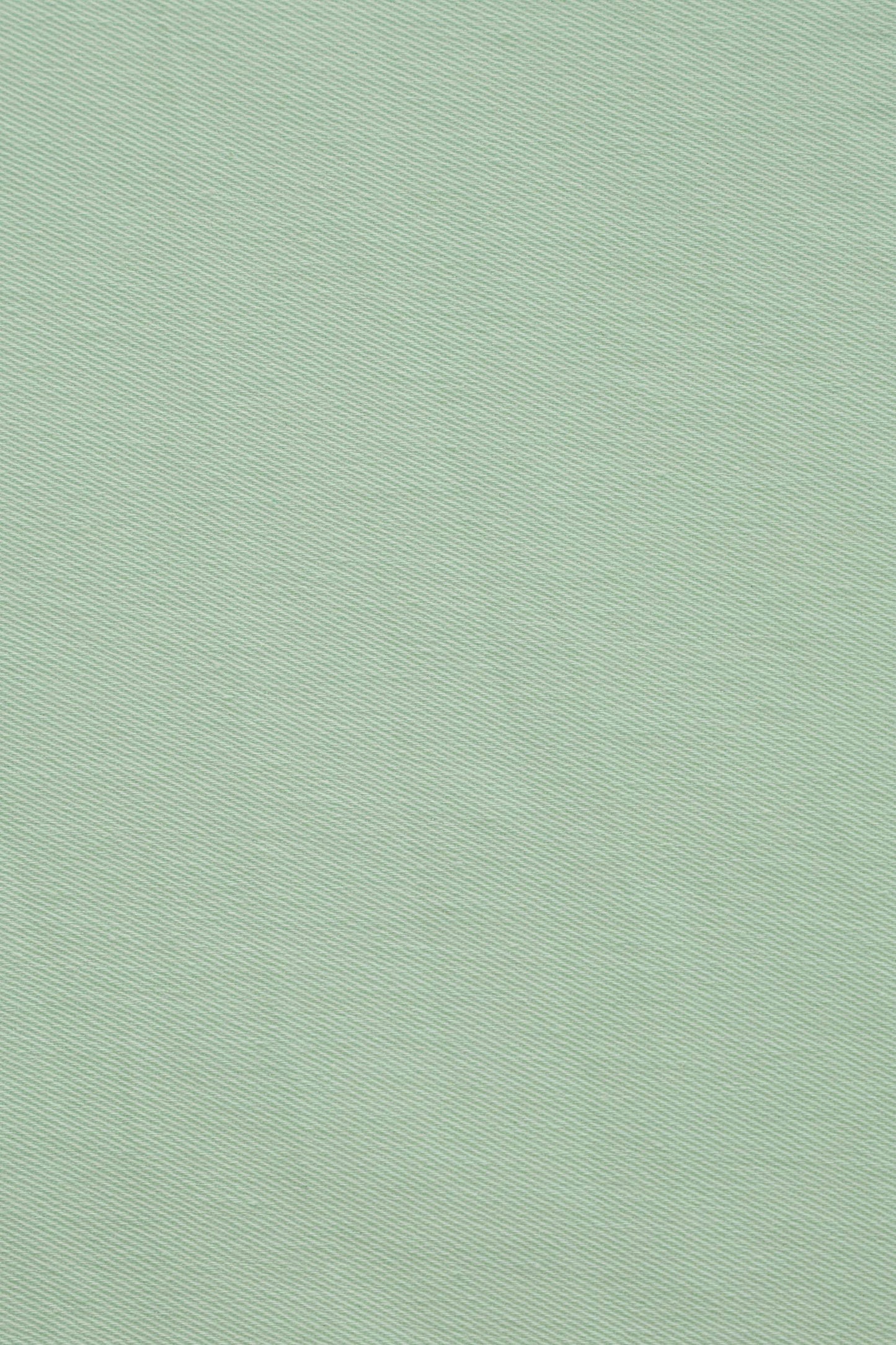 Darlene Light Green Roll Collar Circle Dress