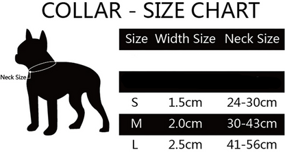 Bari Meteor Collar - Dogs and Horses