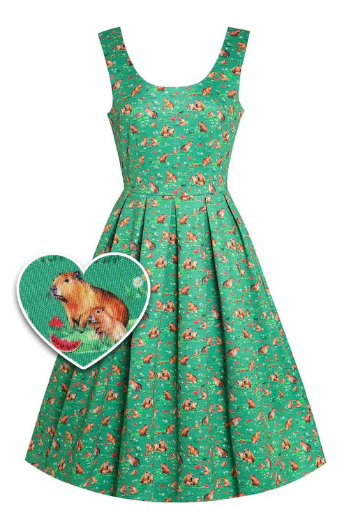 Amanda Green Flared Dress in Capybara Watermelon Print