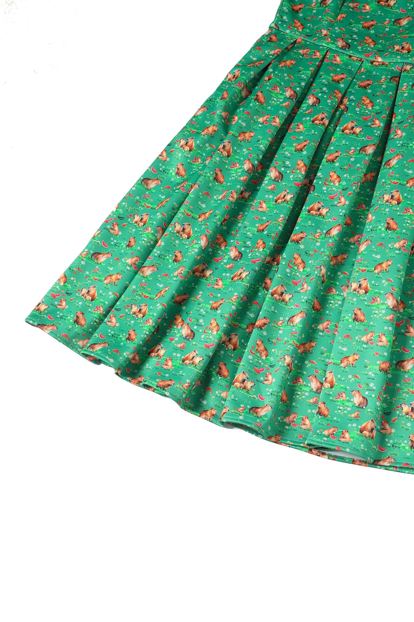 Amanda Green Flared Dress in Capybara Watermelon Print