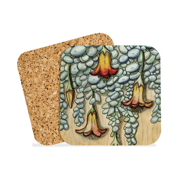 PinkPolish Design Coasters "Creeping Succulent" Drink Coaster