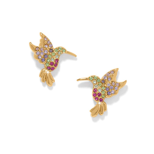 Brighton stud earrings shaped like hummingbirds with multicolored crystals and gold-plated finish on a white background