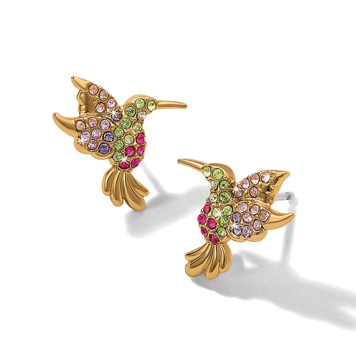 Brighton hummingbird stud earrings with multicolored crystals and gold-plated finish on a white background