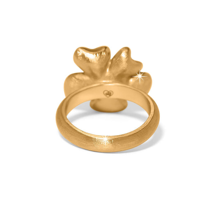 Brighton ring shown from the back with gold-plated brushed band and floral top detail on a white background