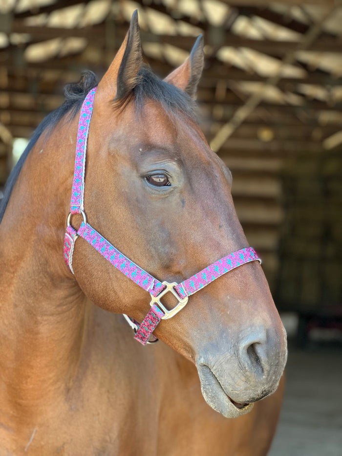 Made to Order Nylon Halter – 3‑Ply Custom Nylon Halter with Throat Clip