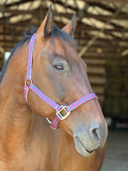 Made to Order Nylon Halter – 3‑Ply Custom Nylon Halter with Throat Clip