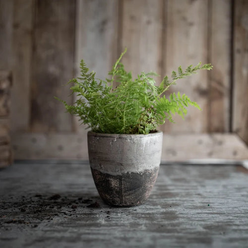 Imani Planter Small