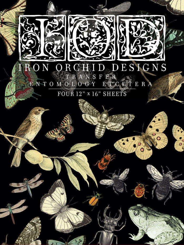 IOD Entomology Etcetera Transfer 12x16 Pad
