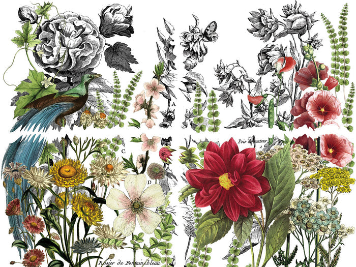 IOD Midnight Garden Transfer 12x16 Pad