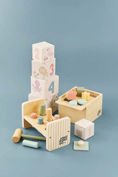 JaBaDaBaDo Play and Learn box 12-18 months