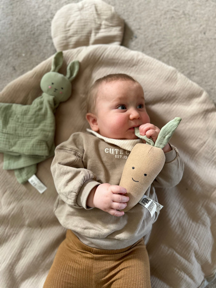 JaBaDaBaDo Rattle Carrot