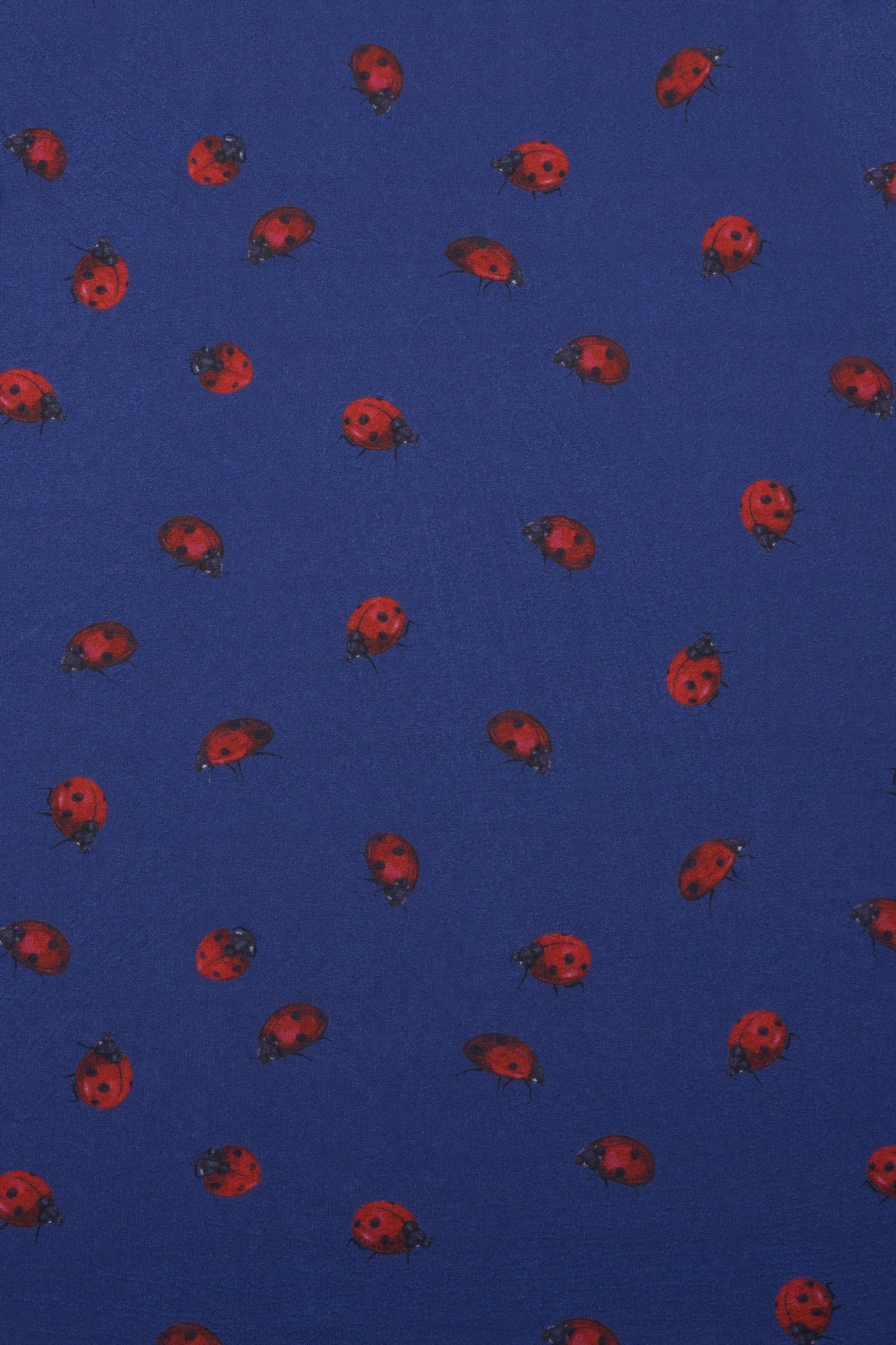 Kids Claudia Ladybug Navy Dress
