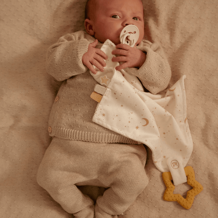 Little Dutch Goose Cuddle Cloth  w/ Teether