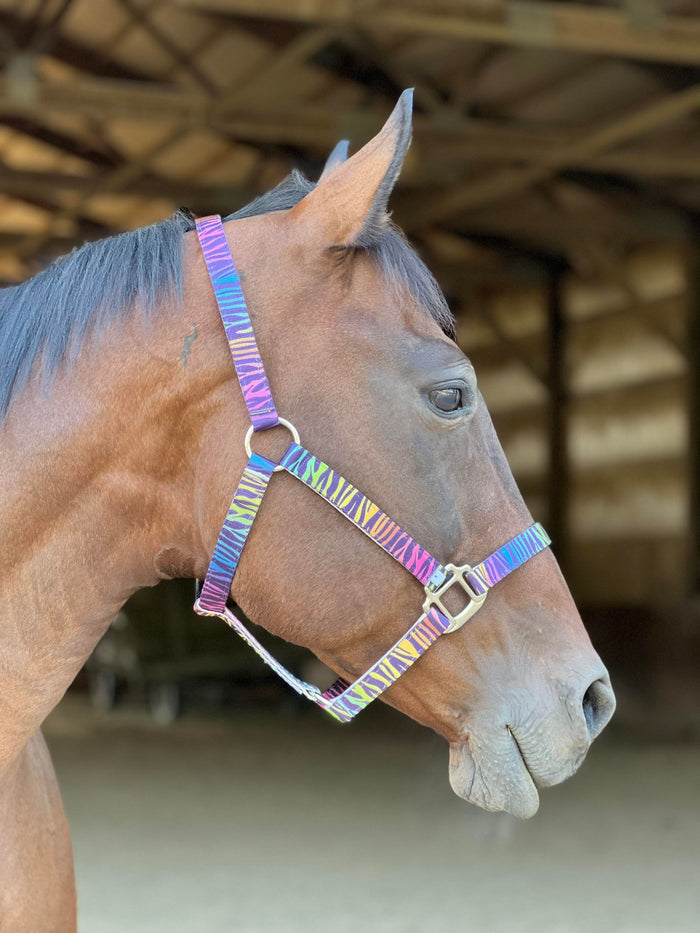 Made to Order Nylon Halter – 3‑Ply Custom Nylon Halter with Throat Clip