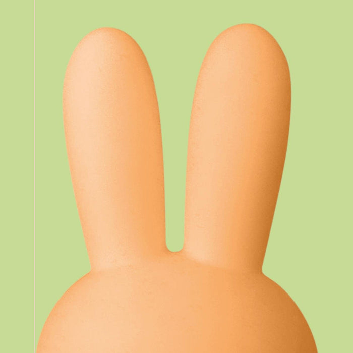 Mr Maria Miffy Colourful Surprise Collection