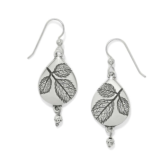 Brighton drop earrings with silver-plated teardrop shape, etched leaf design, and small bead accents on a white background