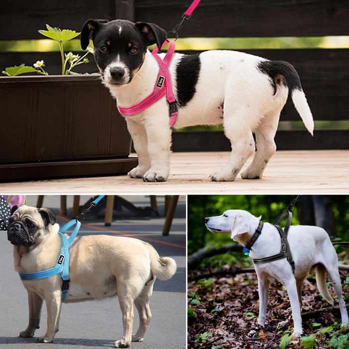Pink No Pull Reflective Harness - Dogs and Horses