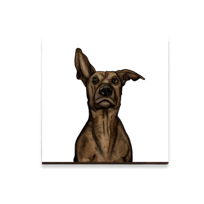 PinkPolish Design Magnets "Puppy Concern" Wood Refrigerator Magnet