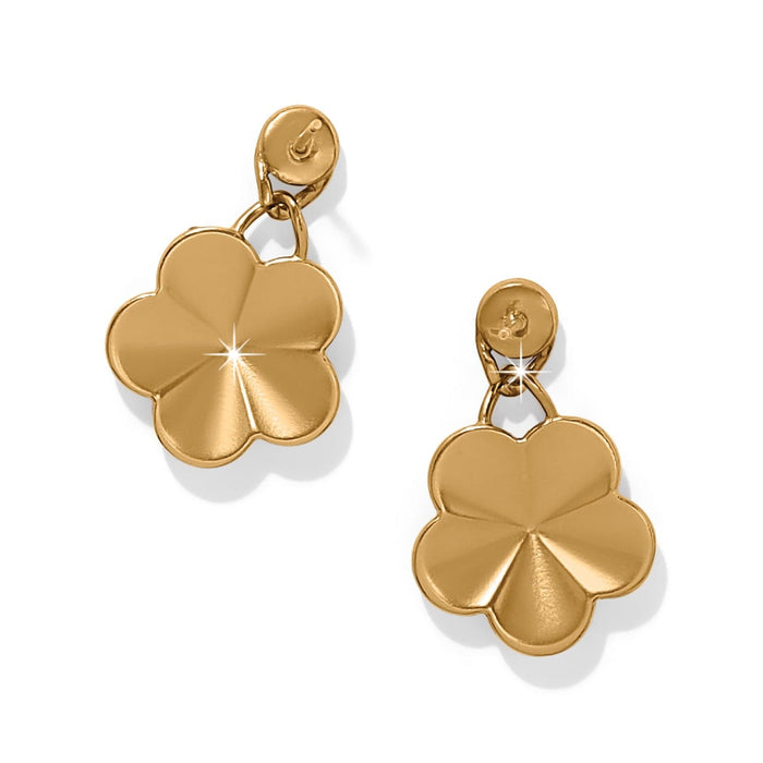 Brighton drop earrings with gold-plated five-petal flower charms shown from front and back on a white background
