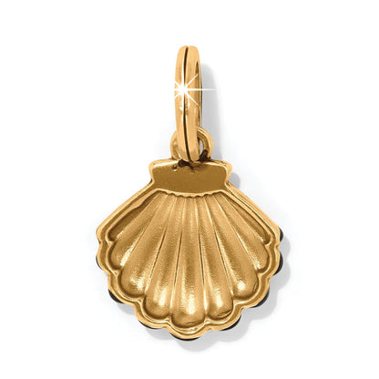 Brighton seashell charm in gold-plated finish with ridged scallop detail and jump ring on a white background