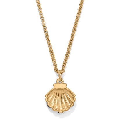 Brighton pendant necklace with gold-tone scallop shell charm and rolo chain on a white background