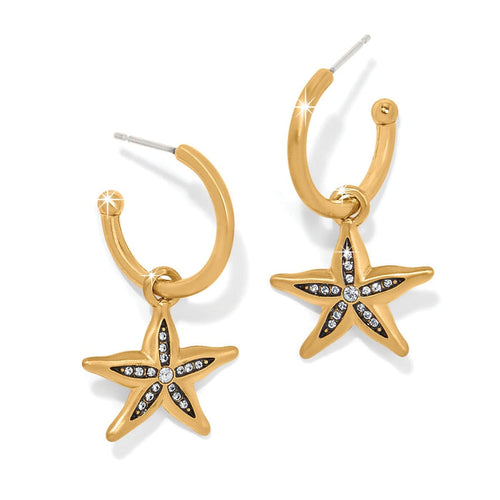 Brighton hoop earrings with gold-plated starfish charms and crystal accents on a white background
